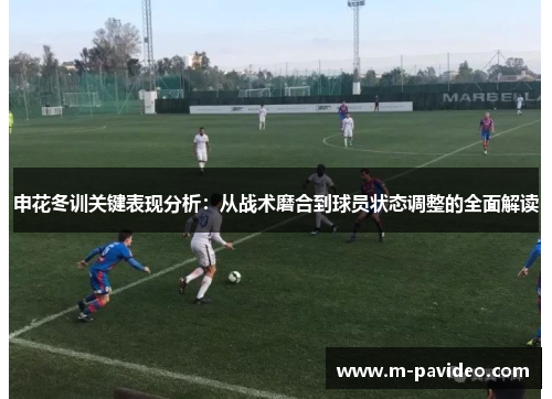 申花冬训关键表现分析:从战术磨合到球员状态调整的全面解读