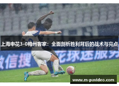 上海申花3-0梅州客家:全面剖析胜利背后的战术与亮点