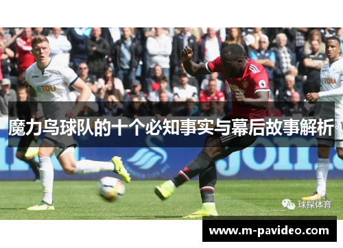 魔力鸟球队的十个必知事实与幕后故事解析