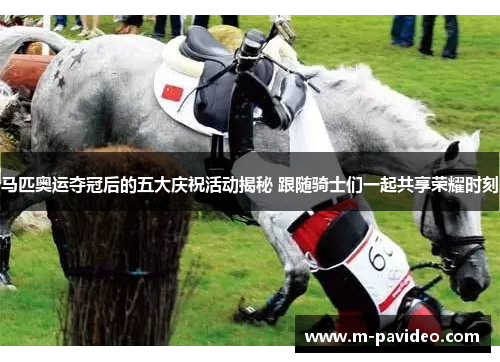 马匹奥运夺冠后的五大庆祝活动揭秘 跟随骑士们一起共享荣耀时刻