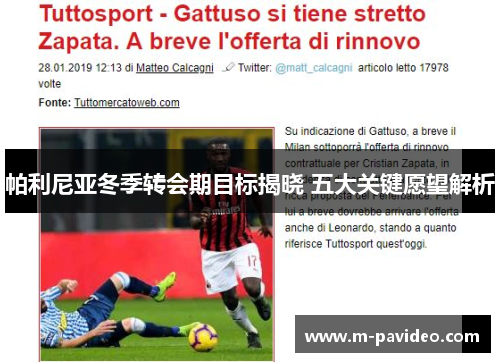 帕利尼亚冬季转会期目标揭晓 五大关键愿望解析